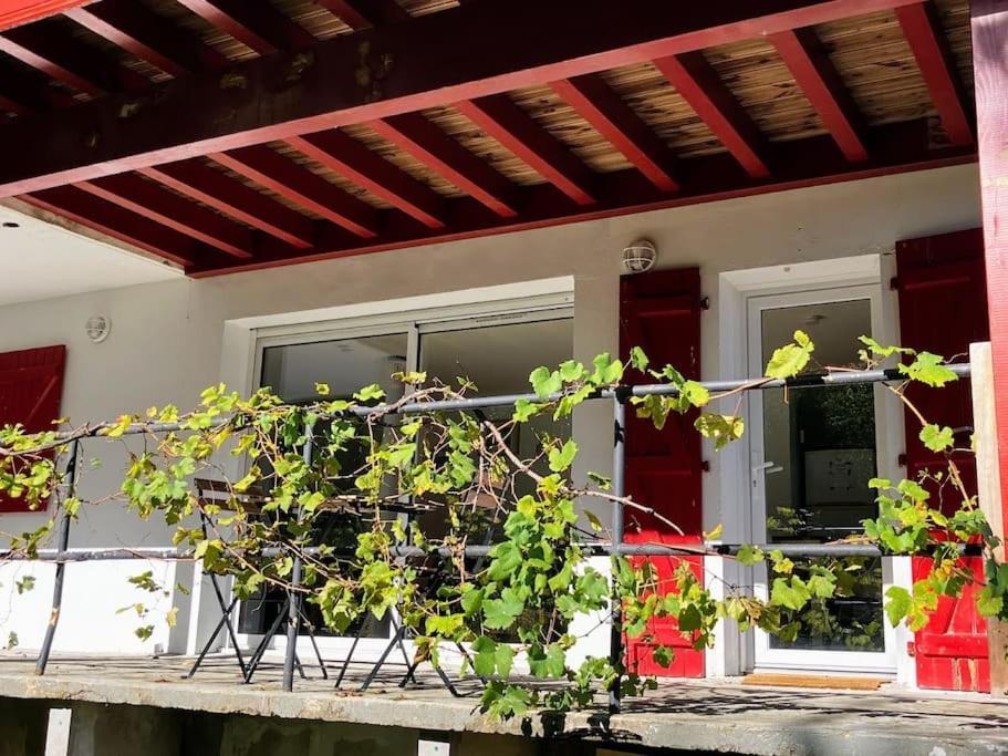 Lagunen Etxea Hendaye Exteriér fotografie